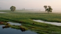 013_Biebrza - maj 2013